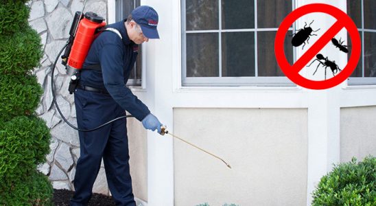 Eleşkirt Böcek ve Haşere İlaçlama böcek ilaçlama ve haşere kontrolü — ilaclama-tr.com